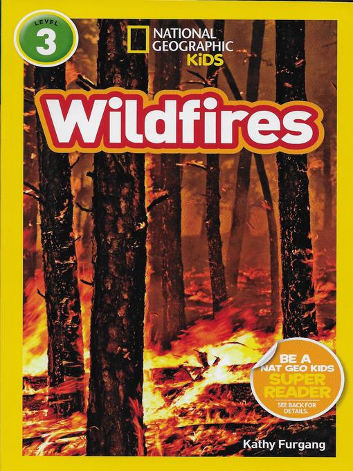 Title details for Wildfires by Kathy Furgang - Available
